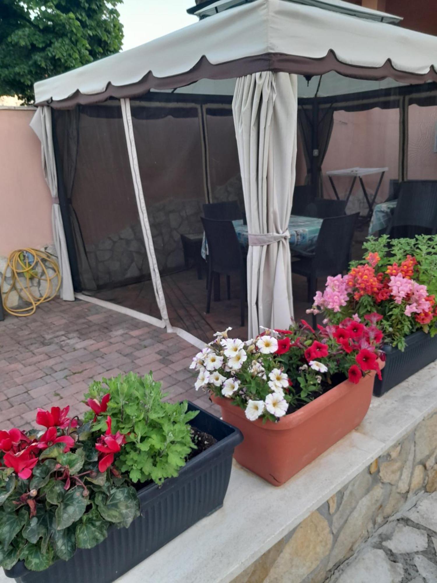 B&B Villa Jasiga Fregenae Extérieur photo